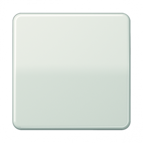 Jung CD 590 LG Wippe, für Wippschalter, Tastschalter, Taster und Taster BA 1fach