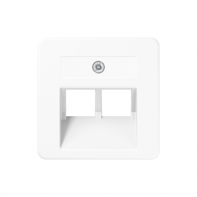 Jung 169-2 UAE WW coverage, for IAE/UAE connection and datad. Cat. 5e and Cat. 6 (2 x 8- police