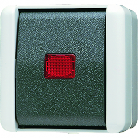 Jung 806 KOW Wipp control switch, 10 AX, 250 V , red light outlet, universal replacement