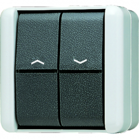 Jung 839 VW Jalousie-Wippschalter, 10 AX, 250 V , Taster 1-polig