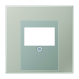 Jung ES 2969 T Cover, for TAE remote control socket and combination connection unit