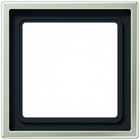 Jung ES 2981 Rahmen, 1fach, für waagerechte und senkrechte Kombination