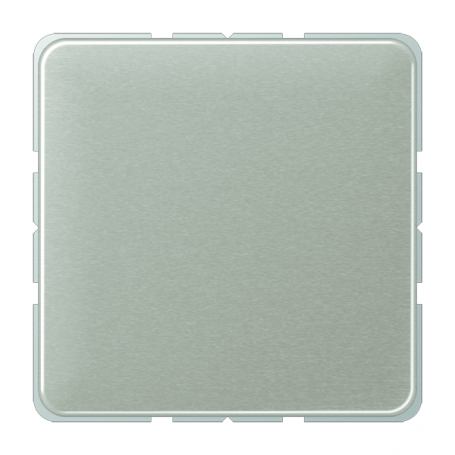 Jung CD 594-0 PT Blind-Abdeckung, Tragring