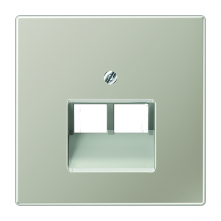 Jung ES 2969-2 UA cover, for IAE/UAE connection and datad. Cat. 5e and Cat. 6 (2 x 8- police