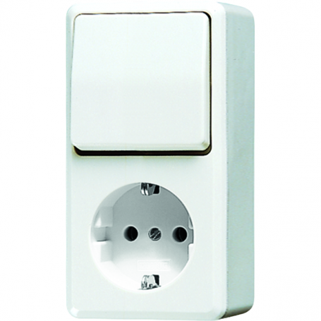 Jung 676 A WW SCHUKO socket, 16 A 250 V , Wipp switch, 10 AX 250 V , out-change, screw terminals (plug), spring terminals (