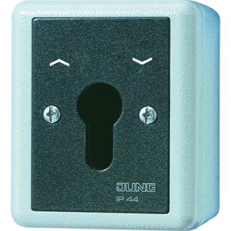 Jung 804.28 G key switch, 10 AX, 250 V , aluminum die casting, blind switch 2-pole