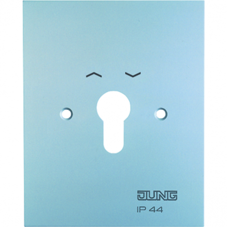 Jung 4.28 WUG Metall-Abdeckung, Symbole