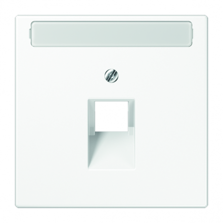Jung LS 969-1 NAUA WW Cover, font field, for IAE/UAE connection box and data boxes (1 x 8- police