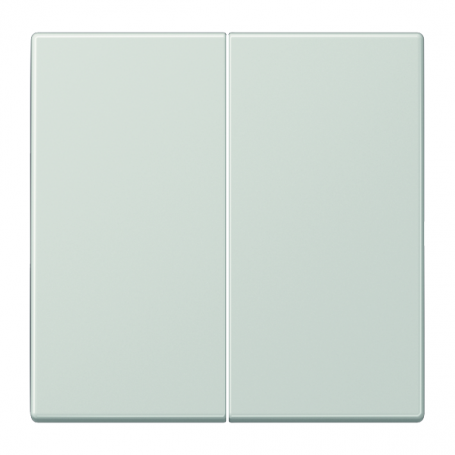 Jung LS 995 LG rocker, for series-switch, series-switch, double-switch, double-switch., double-switch