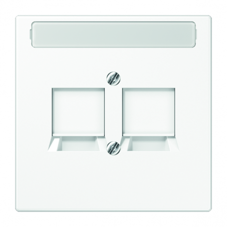 Jung LS 969-2 NWE WW Abdeckung, Tragring, Schraubbefest., für Modular-Jack-Steckbuchsen 6 WE, 8 WE