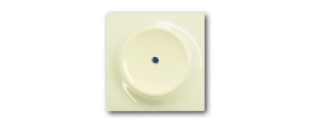 Blind central disc, with support ring