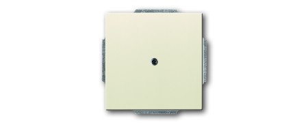 Central disc, with support ring