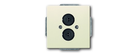 Central disc, with support ring