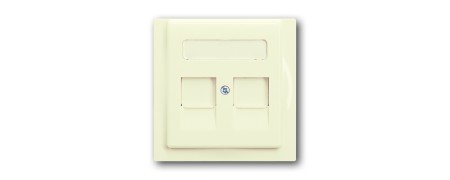 Central disc, with labeling field