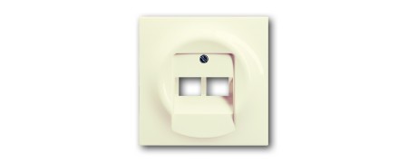 Central disc, 2-fold