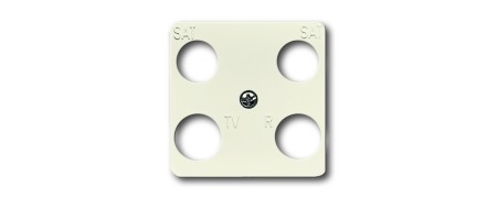 Central disc, 50 x 50 mm