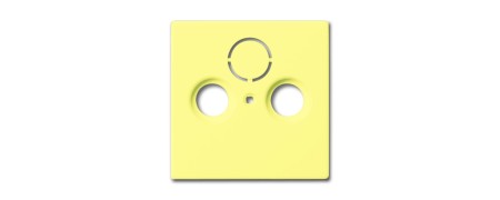 Central disc, as a cover for commercial antenna sockets