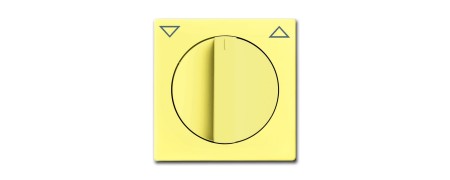 Central disc, with rotary handle, with imprint