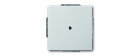 Central disc, with support ring