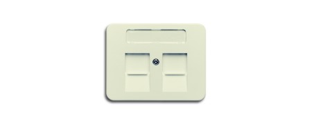 Central disc, with labeling field